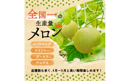 梨 豊水 ご家庭用 約 5kg（14～16玉）なし ナシ 5キロ ほうすい ほうすい梨 果物 果実 くだもの フルーツ fruit nasi 茨城県 鉾田市 山﨑農園