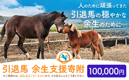 【返礼品なし】引退馬余生支援寄附 100,000円 一般社団法人オープンセサミアライブ 熊本県 南阿蘇村 馬 ウマ 支援 競走馬 引退馬 生活支援 動物愛護 保護 返礼品なし 寄附 牧場 オープンセサミ アニマルサンクチュアリ