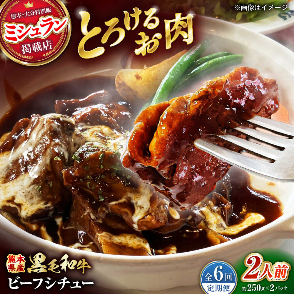 【ふるさと納税】【全6回定期便】 熊本県産 黒毛和牛 こだわりのビーフシチュー 計2パック （約250g×2パック） ビーフシチュー ビーフ シチュー 牛肉 肉 　【有限会社スイートサプライなかぞの】[ZBV109]