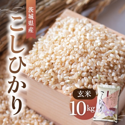 
                  令和8年産 新米 コシヒカリ 玄米 10kg | こしひかり お米 おこめ 茨城県産【1630961】
                