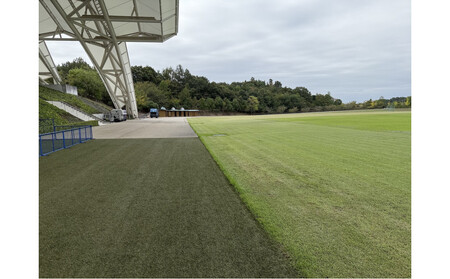 ラリージャパン【藤岡SSS（Kojimaスタジアム観戦エリア）観戦券／大人２名＋こども２名（デンソー広瀬製作所駐車場他P&R）】5月30日（土）