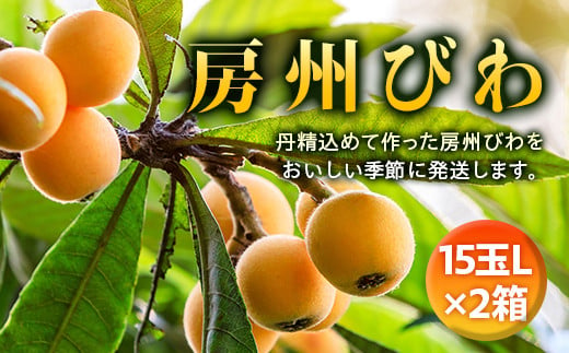 【2025年度先行予約】 房州びわ L15玉×2箱 ／ ビワ 枇杷 中玉 産地直送 千葉県 特産 フルーツ びわ 果物  F22X-139