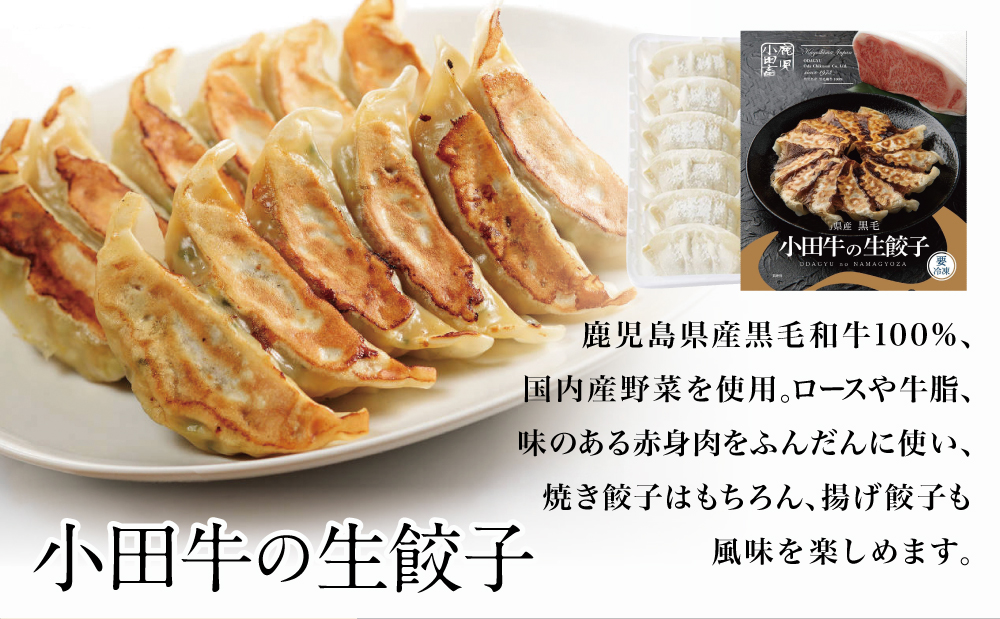 【訳あり】鹿児島県産黒毛和牛「小田牛」 牛肉100%使用の餃子72個（12個×6P） 期間・数量限定 ★年内発送★ 5営業日以内に発送 総菜 餃子 ぎょうざ ギョーザ 黒毛和牛 小田畜産 冷凍 南さつ