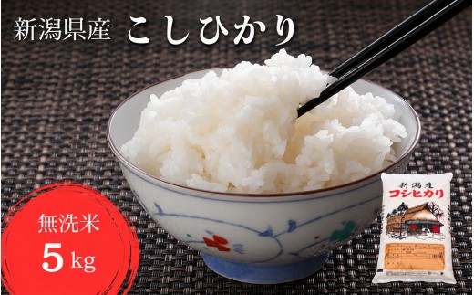 令和8年産　新米 新潟県 こしひかり　無洗米 5kg 特別栽培米 減農薬