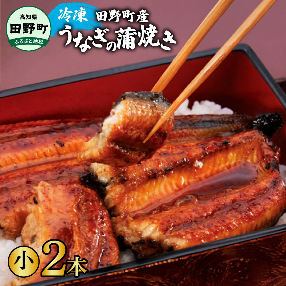 【四国一小さなまち】 田野町産 うなぎ蒲焼き ２本（小）