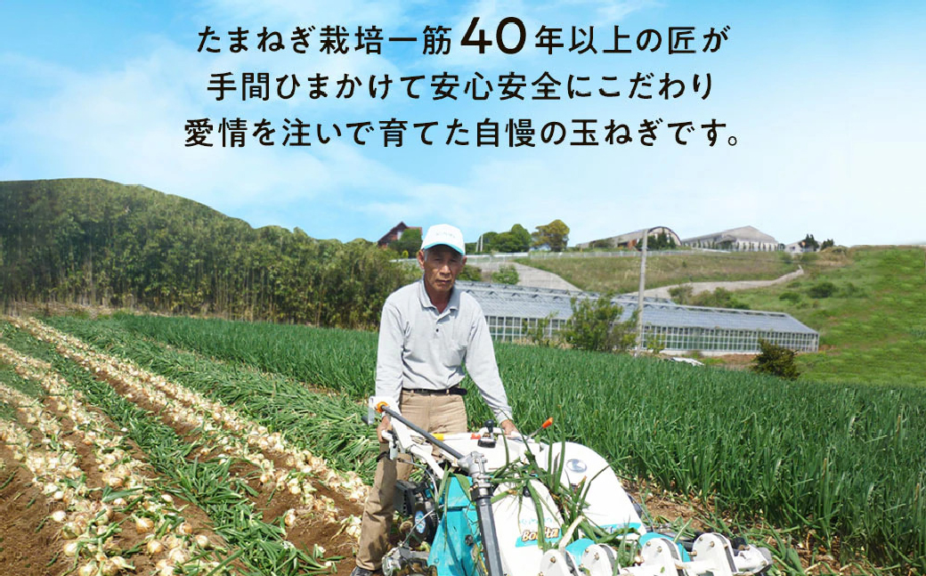【新たまねぎ】今井ファームの淡路島たまねぎ「かくし玉」 5kg【発送時期2026年4月下旬～5月頃】