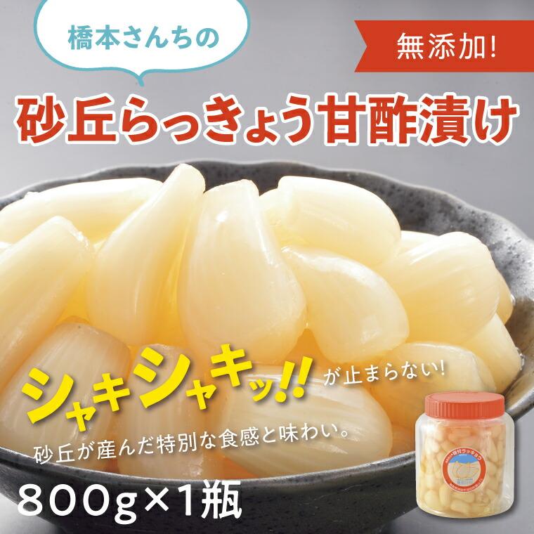 【ふるさと納税】橋本さんちの砂丘らっきょう甘酢漬け 800g (瓶) | ふるさと納税 らっきょう らっきょ 辣韭 漬物 漬け物 らっきょう漬け カレー おつまみ ご飯のお供 無添加 手作業