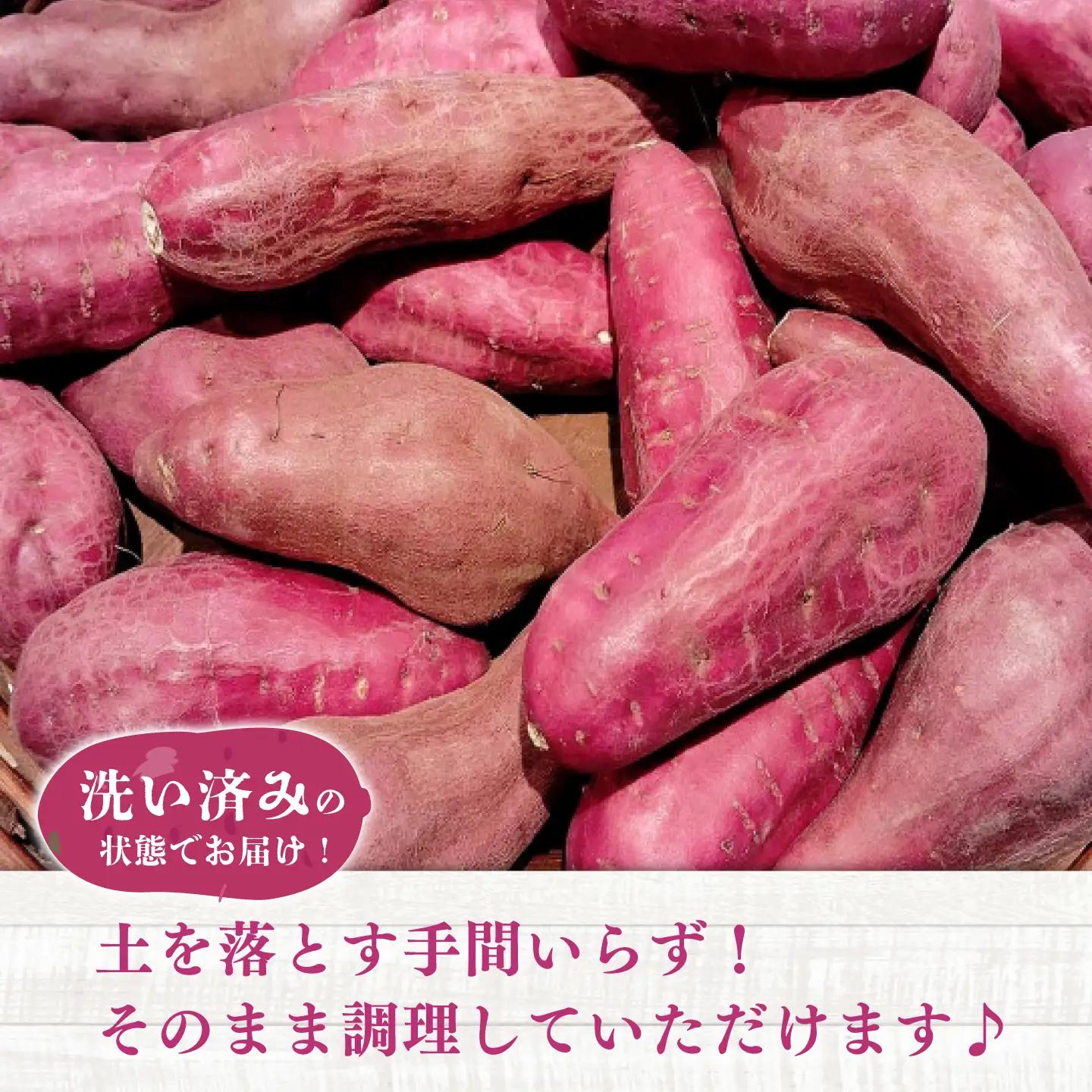 【先行予約】【2026年12月上旬より順次発送】【訳あり】さつまいも 約5kg(平均17本から30本)/ サツマイモ 芋 焼き芋 熊本県 菊陽町【株式会社さかもと農園】[BHDL001]