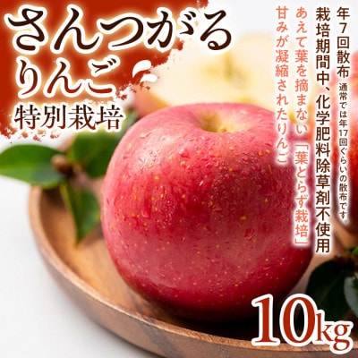 【ジューシーな甘さ】サンつがる 10kg 1セット【1780246】