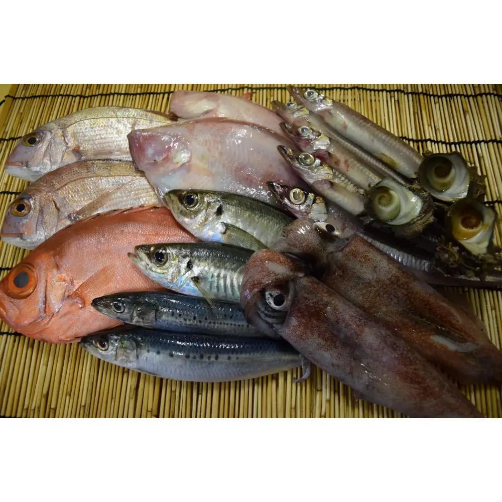 ＜土日祝着＞＜7～8月・年末年始配送不可＞おすすめ鮮魚詰め合わせ(4～5種類)