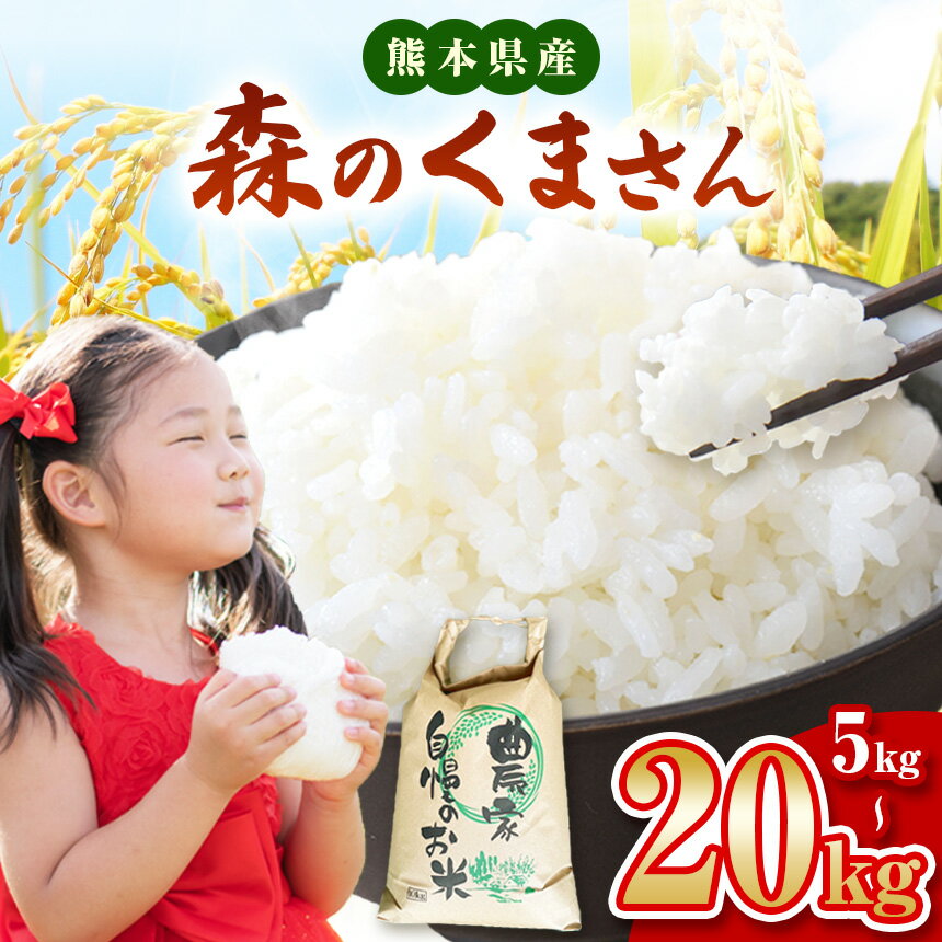 【 ふるさと納税】 選べる 内容量 森のくまさん 精米 5kg 10kg 20kg | お米 米 こめ コメ おこめ 精米 オススメ 人気 熊本県 玉名市