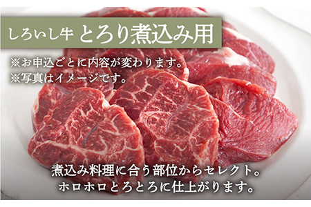 手ごねハンバーグ 4個＆しろいし牛 とろり煮込み用 700g / ハンバーグ 牛肉 [IAH114]