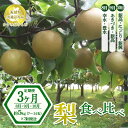 【ふるさと納税】【先行予約限定】 【定期便3ヶ月】茨城県産 梨【食べ比べ3種定期便】約5kg×3回発送 【茨城県共通返礼品　かすみがうら市産】※2024年8月上旬頃～10月下旬頃に順次発送予定 ※離島への配送不可