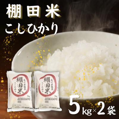 ふるさと納税 七尾市 【令和8年産】棚田米コシヒカリ10kg (5kg×2袋)