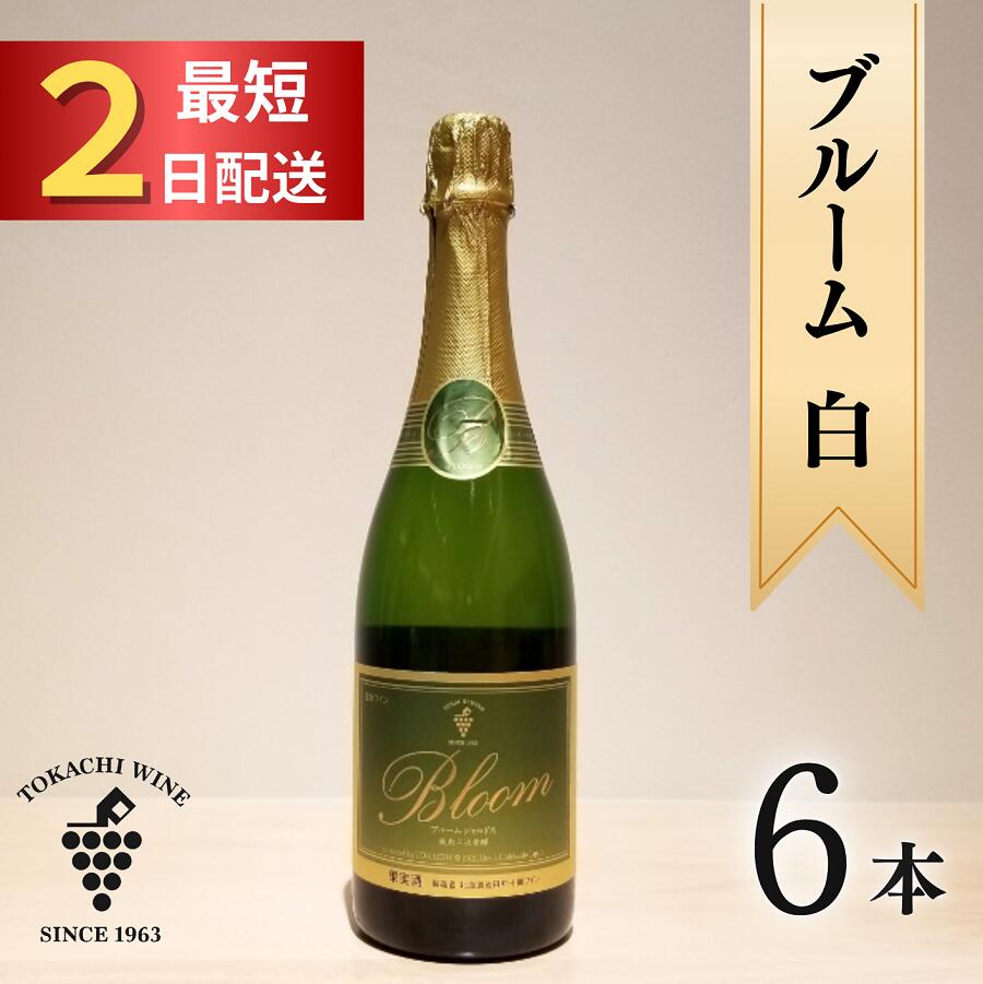 【ふるさと納税】北海道 十勝ワイン ブルーム白6本 申込から最短2日発送 北海道 スパークリング 瓶内二次発酵 スパークリングワイン ふるさと納税 送料無料 辛口