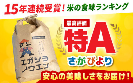 【全12回定期便】がばいうまか エガシライス（さがびより）玄米 10kg（5kg×2袋）【江頭農園】特A 特A評価[HAU008]