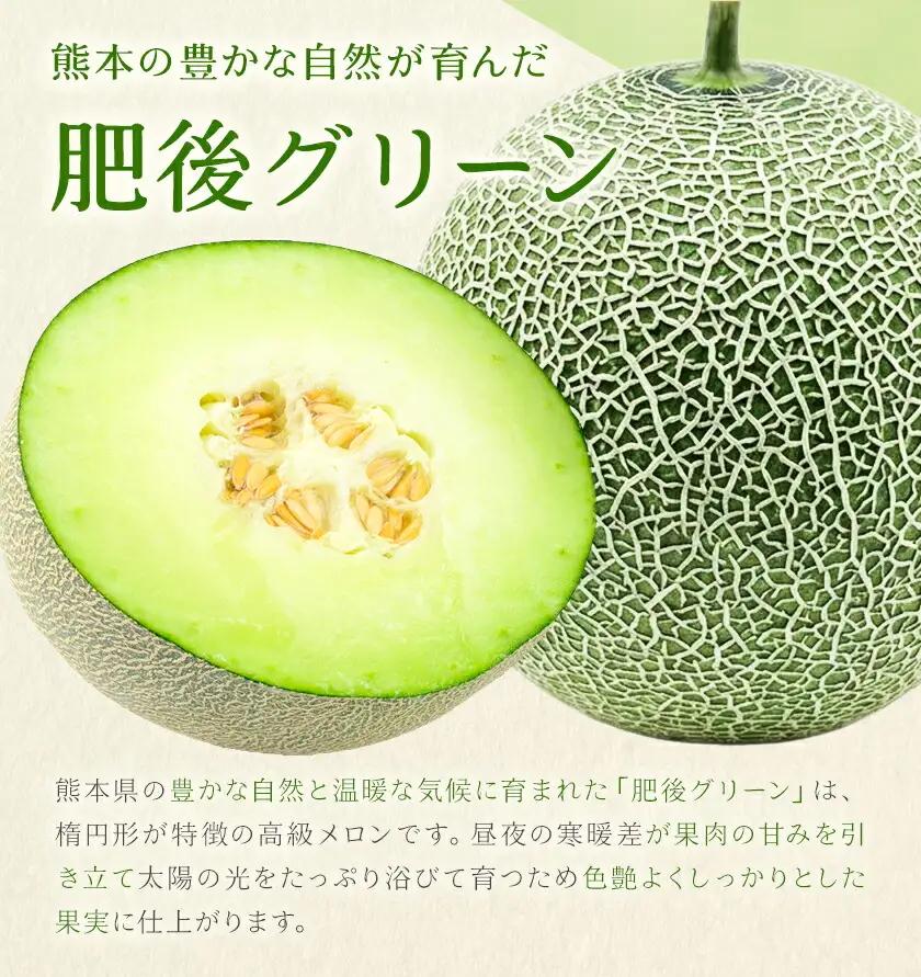 肥後グリーンメロン 1玉 熊本 株式会社エフビーネット《4月上旬-7月上旬頃出荷》