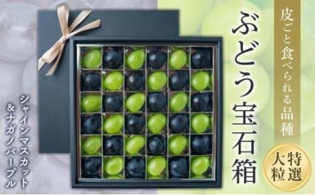 【2025収穫分先行予約】 シャインマスカット ぶどう 大粒 特選 ぶどう宝石箱 ギフト ナガノパープル 約 600g 18粒 ずつ 1箱 36粒 ぶどう ぶどう ぶどう ぶどう  ぶどう ぶどう  ぶどう ぶどう  ぶどう ぶどう  ぶどう ぶどう  ぶどう ぶどう  ぶどう ぶどう  ぶどう ぶどう  【GL001】