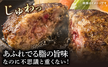 【溢れ出る肉汁】長崎和牛ハンバーグ 5個＜株式会社黒牛＞ [CBA027]