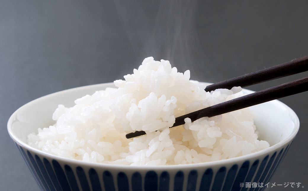 【2回定期便】浦臼産ゆめぴりか 精白米 5kg×1袋