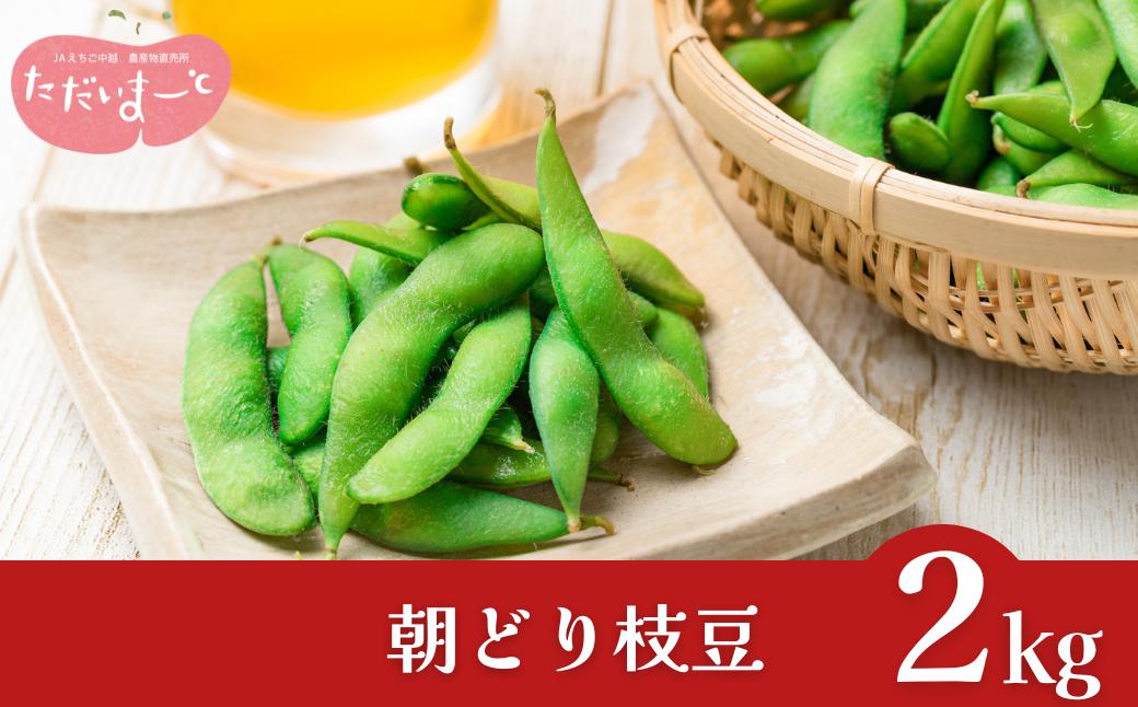 
                  採れたてをお届け！朝どり枝豆 2kg (1kg×2袋) 2026年産 令和8年度 枝豆 新潟県産 枝豆 三条市産 朝採り 枝豆 朝採れ枝豆 えだまめ 新潟 枝豆 [JAえちご中越]【010S119】
                