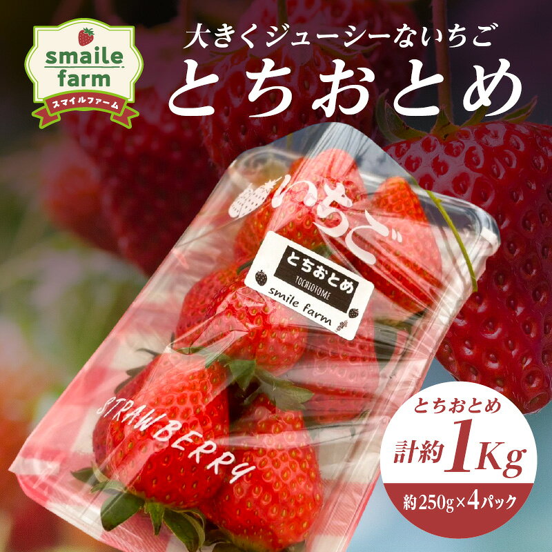 【ふるさと納税】スマイルファーム 大きくジューシーないちご とちおとめ 約1kg FAF-0039