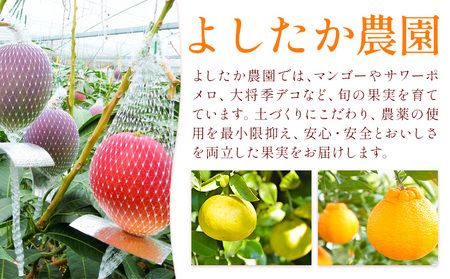 鹿児島県産 マンゴー 化粧箱入り 2玉 3L よしたか農園《5月上旬‐5月下旬頃出荷》鹿児島県 さつま町 マンゴー 果物 フルーツ 送料無料
