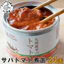 【ふるさと納税】缶詰工場直送　伝統のさば缶「旬ほとぎ」トマト煮24缶【C3-015】さば サバ 鯖 缶詰 サバ缶 さば缶 鯖缶 トマト煮 ご飯のお供 保存食