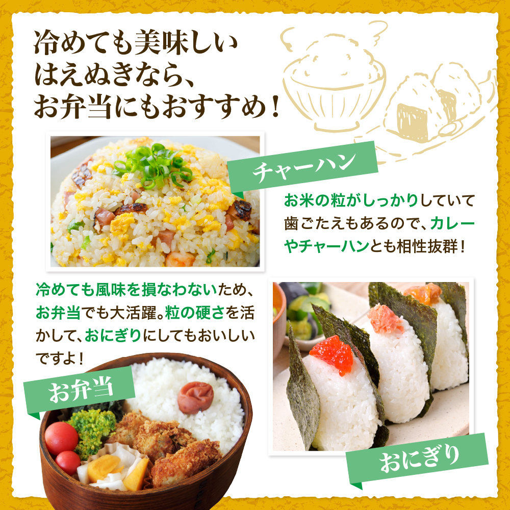 【令和8年産米】2027年6月中旬発送 はえぬき10kg 山形県産 【米COMEかほく協同組合】 ka024-045d-r8-062 2027年6月中旬発送