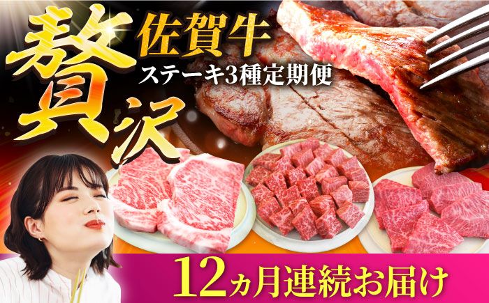 【牧場直送】【12回定期便】佐賀牛 贅沢 ステーキ食べ尽くし【有限会社セントラル牧場】牛肉 [IAH082]