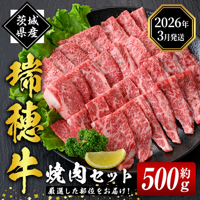 【ふるさと納税】 ＜2026年3月中に発送＞ 瑞穂牛焼肉セット 約500g 牛肉 やきにく バラ 肩ロース 肩 肩バラ トモサンカク イチボ ブランド牛 茨城県 お中元 焼肉の日 敬老の日 瑞穂牛 焼肉 10種 詰め合わせ 食べ比べ 国産 BBQ 【（株）フロンティアロード】【ho0858-1-03】