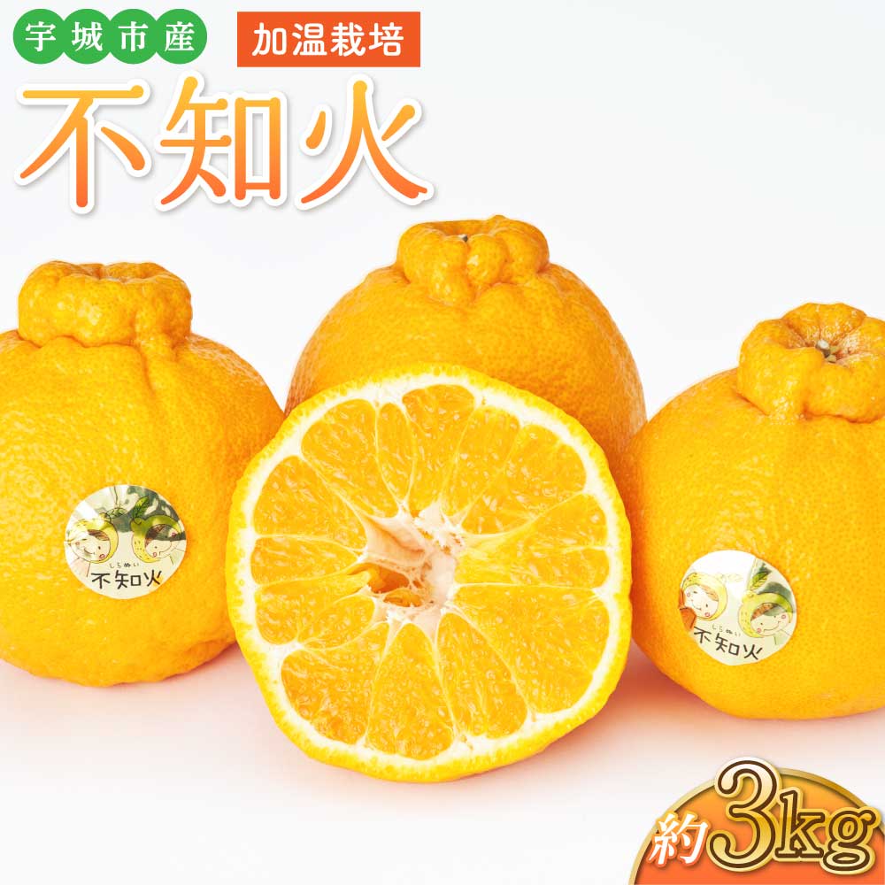 【ふるさと納税】 先行予約 不知火 約3kg 加温栽培 【2025年12月発送開始予定】しらぬい みかん 蜜柑 宇城市産 熊本県産 九州産 国産 株式会社坂下園
