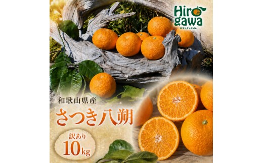 さつき 八朔 訳あり 10kg ※2027年3月上旬～2027年3月下旬に順次発送 // さつき 八朔 柑橘 和歌山 有田 家庭用 プレミアム 厳選 訳あり わけあり 傷あり 紀州 国産 【gsa022-c-10】