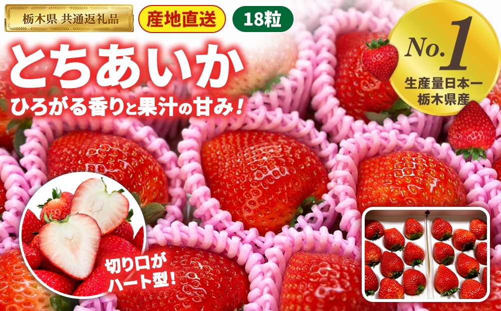 いちご とちあいか 18粒入【栃木県共通返礼品】 | いちご イチゴ 苺 とちあいか 生いちご 高級いちご 季節の果物 栃木県産 国産 農家直送 ギフト プレゼント お祝い お返し いちごギフト ※2026年12月～発送