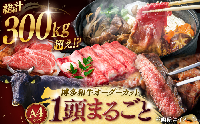 
                  【牛 一頭 丸ごと】 博多和牛 一頭 食べ尽くし セット ▼オーダーメイド 和牛 国産 高級 贅沢 豪華 ステーキ 切り落とし スライス ヒレ サーロイン 赤身 希少部位 パーティ お祝い定期便 高額 牛肉 定期便 ＜株式会社MEAT PLUS＞桂川町 [ADAQ099]
                