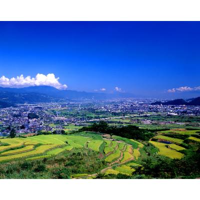 ふるさと納税 千曲市 長野県千曲市　味噌蔵たかむら　寒仕込みそ「棚田」(500g×3ヶ) |  | 03