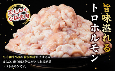 黒毛和牛トロホルモン（小腸）　特製だし3kg ( 300g × 10パック )【2026年12月発送】