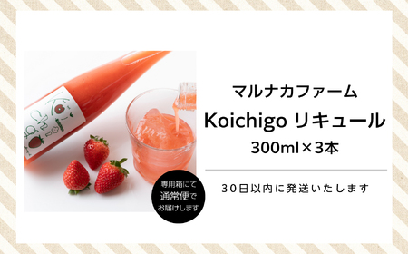 まるなかファーム×人気酒造　Koichigoリキュール 300ml×3本セット【まるなかファーム】