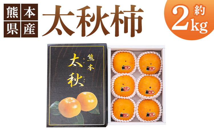 【2025年10月上旬から11月上旬発送予定】【サンサンうきっ子宇城彩館】太秋柿 合計約2kg（5〜6玉）