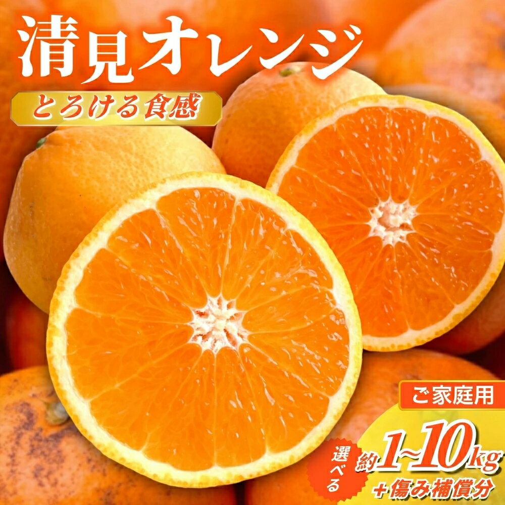 【ふるさと納税】 清見 オレンジ 家庭用 / みかん 訳あり 光センサー 選別 きよみ 柑橘 晩柑 和歌山 / 1kg 2.5kg 5kg 7.5kg 10kg （傷み補償分付）※2026年2月～3月下旬ごろに順次発送 ※北海道・沖縄・離島への配送不可