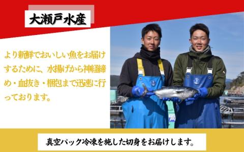 全身トロの幻の魚　高級魚スマガツオ【養殖】【数量限定】700g【oos001】