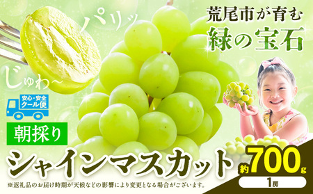 【先行予約】 シャインマスカット 約700g 1房 《8月下旬-9月末頃出荷》シャインマスカット フルーツ シャインマスカット 期間限定 シャインマスカット 前田果樹園