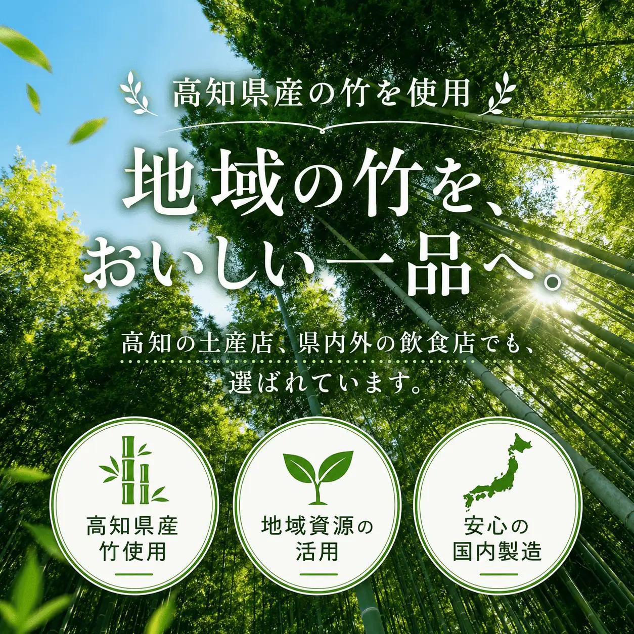 メンマ ピリ辛 170g × 4袋 | 国産 メンマ めんま 筍 たけのこ ラーメン 高知 南国市