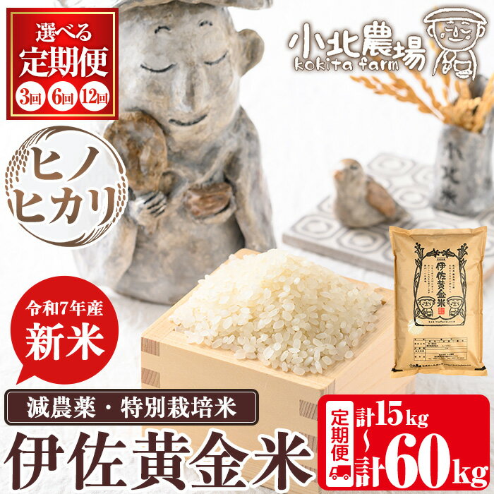 【ふるさと納税】＜先行予約受付中！2025年10月より順次初回発送＞《数量限定・選べる配送回数》令和7年産 小北農場の新米 伊佐黄金米〈ヒノヒカリ〉(5kg×1袋×3回/6回/12回) 鹿児島 伊佐 新米 お米 特別栽培米 伊佐米 白米 ヒノヒカリ ひのひかり ごはん 【小北農場】
