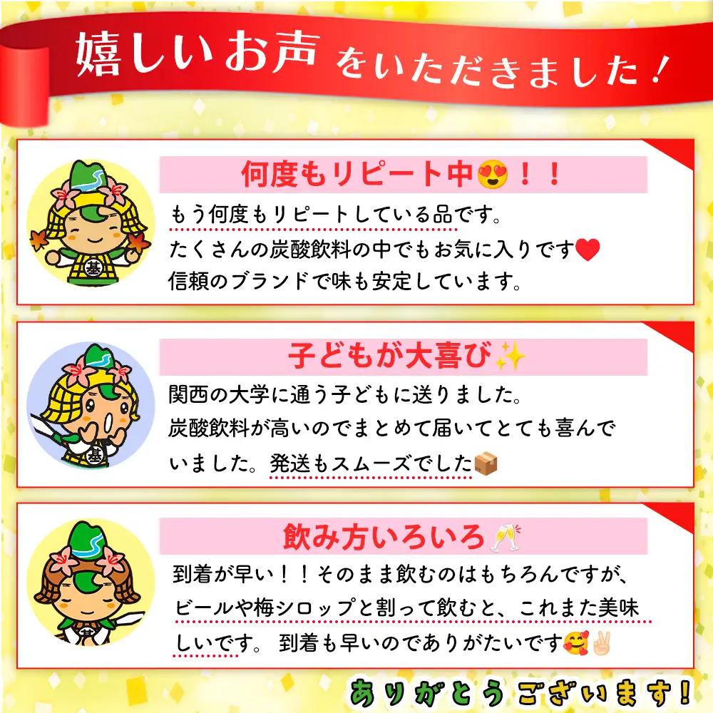 【3か月定期便】カナダドライ ジンジャーエール 1.5LPET (6本×3回) K090492