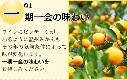 果汁 ジュース みかんジュース オレンジジュース  ドリンク ミカン セット 有機 無添加 100% / きみの蜜柑ジュース 180mL×6本【kmf005】