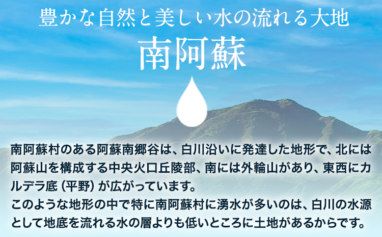 【12ヶ月定期便】白川水源 ミネラルウォーター タンク式  10L×2ケース ×12回《お申込み月の翌月から出荷》熊本県 南阿蘇村 物産館自然庵 水 ミネラルウォーター 飲料水 飲み水 南阿蘇---s