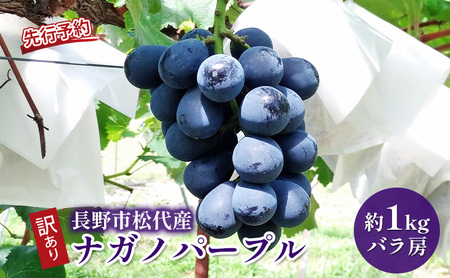 ぶどう 先行予約 訳あり 長野市松代産 ナガノパープル 約1kg バラ房 果物 ブドウ 葡萄 フルーツ デザート おやつ 種なし TAKANO農園 信州 