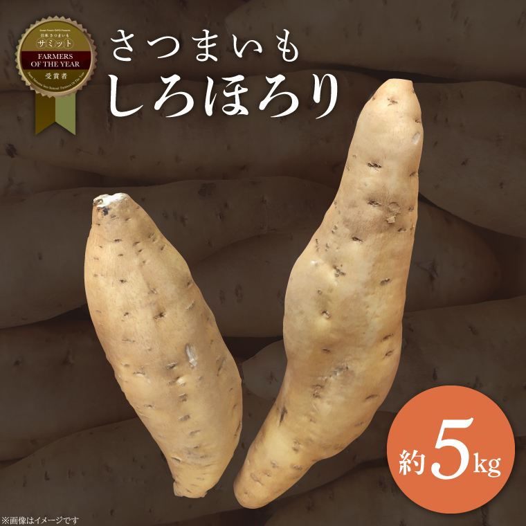 【2025年11月より順次発送】2025年度産 さつまいも しろほろり 約5kg｜さつまいも 芋 お芋 しろほろり 渋谷農園 先行予約 茨城県 行方市(BZ-41)