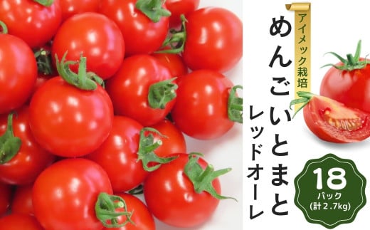 めんごいとまと TYレッドオーレ 150g×18パック ( 計2.7kg ) 4月発送 めんごいとまとたむら アイメック栽培 ミニトマト トマト プチトマト 冬トマト 野菜 農家直送 ギフト プレゼント 新鮮 福島県 田村市 堀越農園 